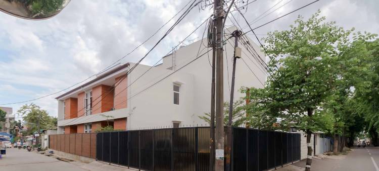 Palm Eight RedPartner图片