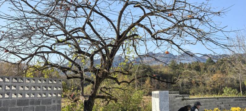 窄门齐云归风图片