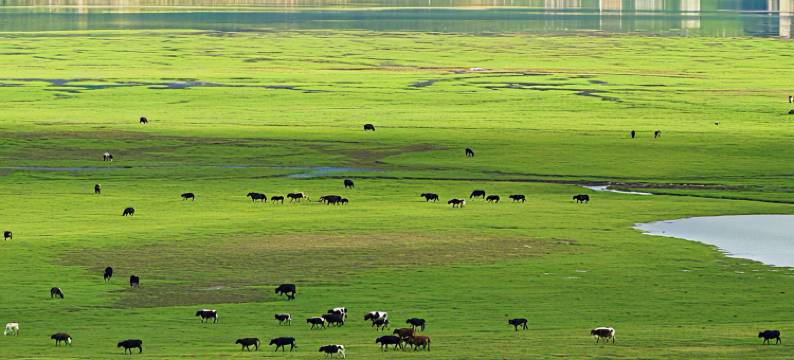 牧卡｜拾光·隐世度假庄园(香格里拉纳帕海店)图片