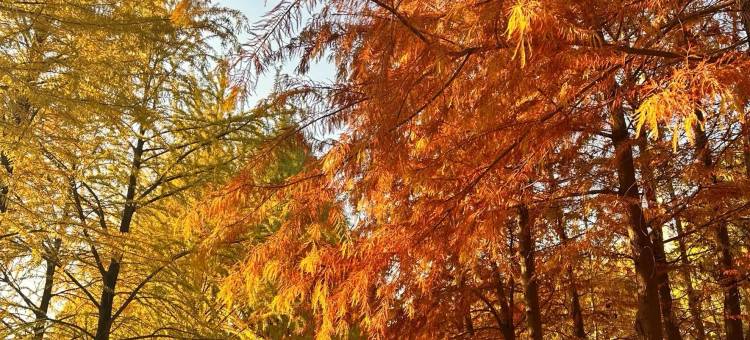 众烁酒店(无锡高铁东站南出站口翠屏汇店)图片