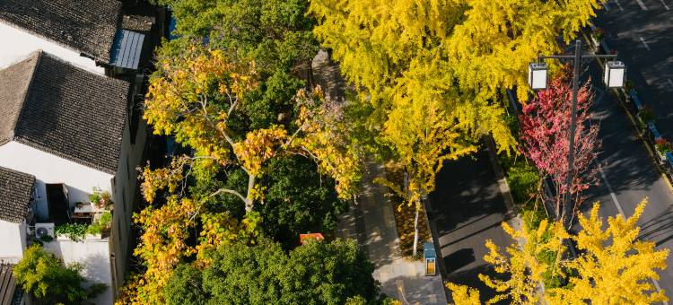 苏州中心大酒店图片