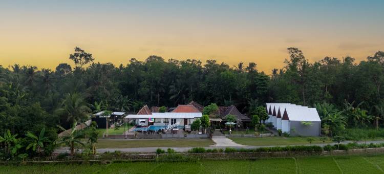 Homestay Alenay Resort Kulonprogo图片