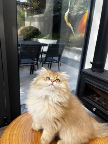 馨院GardenVilla·度假民宿(高铁站弦高西湖凼街区店)图片