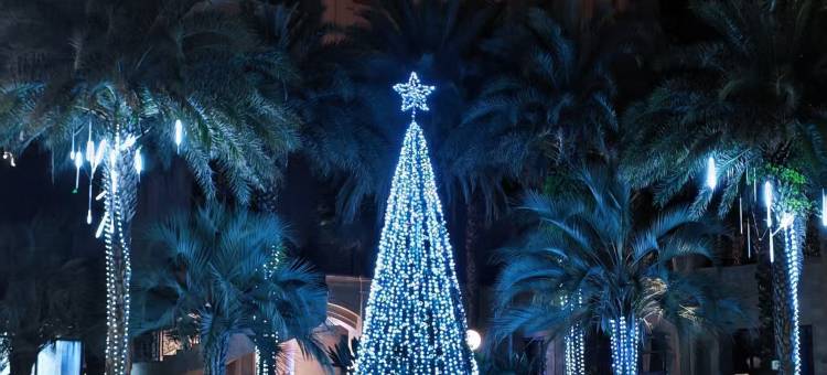 成都雅居乐豪生大酒店图片