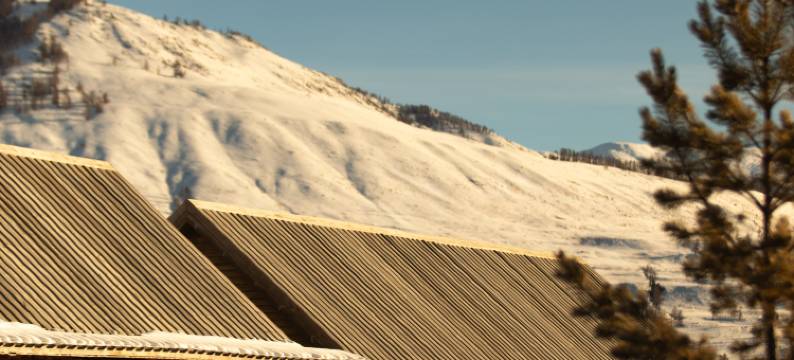 喀纳斯安遇隐世民宿图片