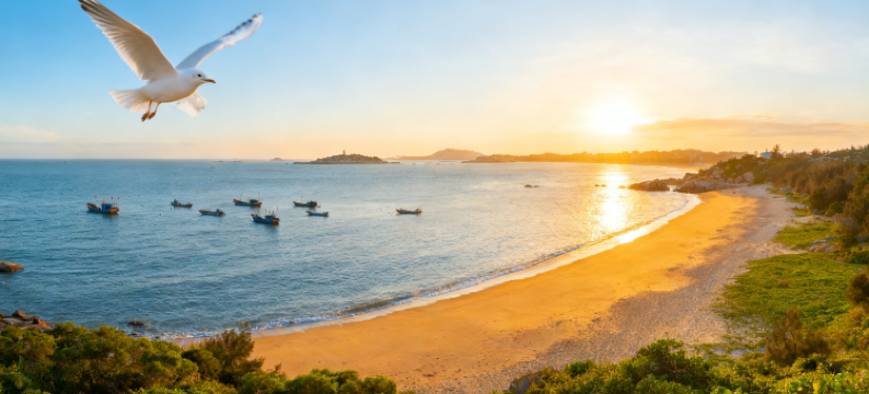 湄洲岛・云水间WARMWAVERY・MSTWMAW・一线落日海景民宿(妈祖祖庙店)图片