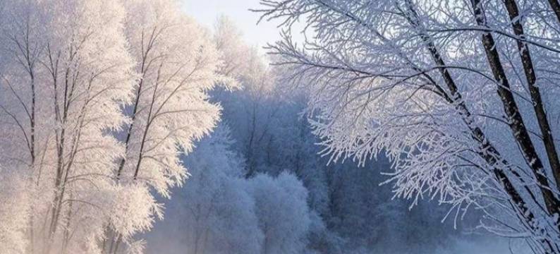 漫庭酒店(兴安国家森林公园店)图片