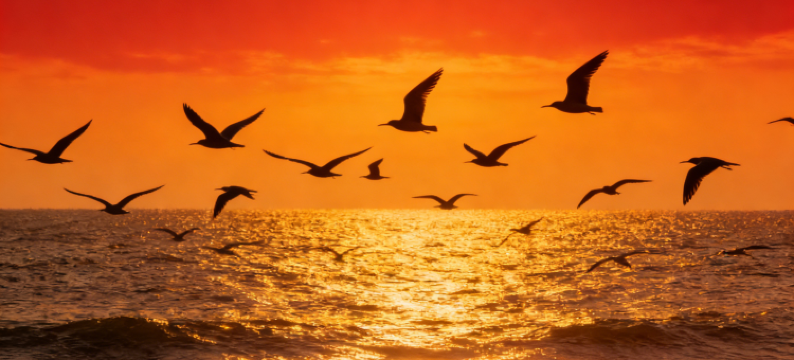 湄洲岛・清霁漫海・海边日出氛围感全海景露台民宿(莲池澳沙滩店)图片