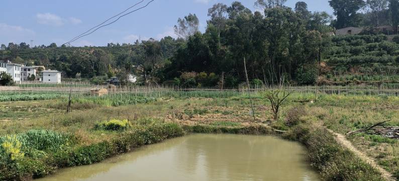 禾田康养基地图片