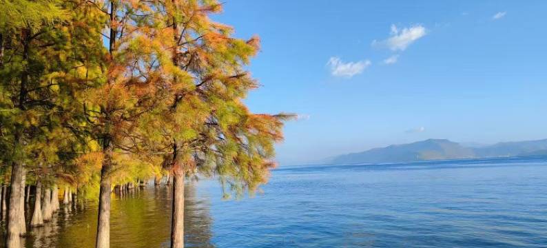 悦洱·云栖·Retreat智能轻奢民宿(洱海才村码头店)图片