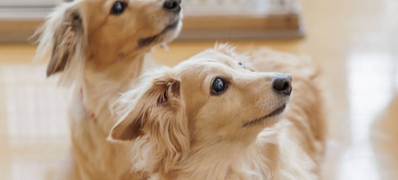 龟乃井酒店大和平群(Kamenoi Hotel Yamato Heguri)图片