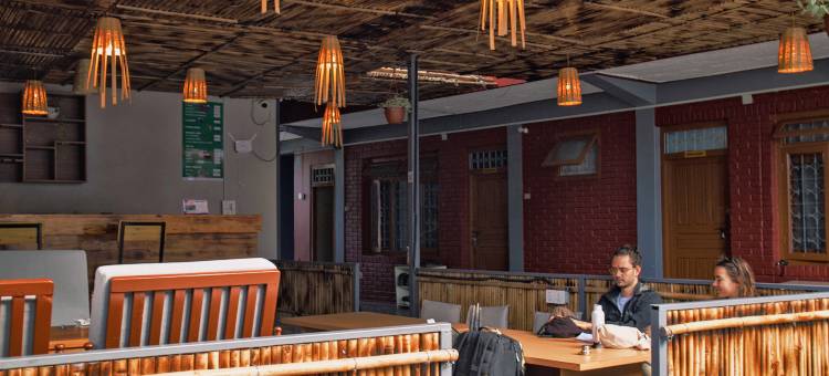 The Mango Tree- Backpackers Hostel图片