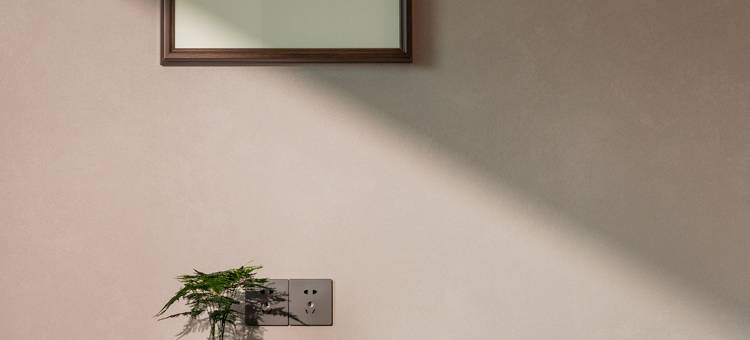 成都涧山堂酒店(宽窄巷子店)图片
