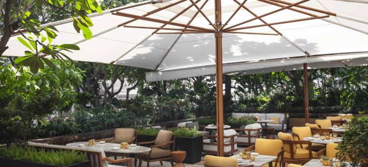 西贡柏悦酒店(Park Hyatt Saigon)图片