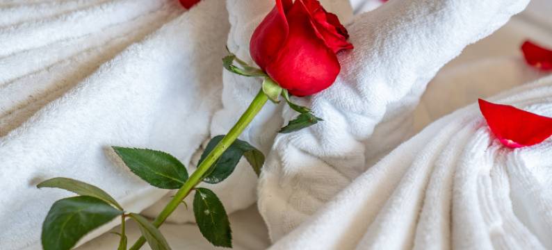 香格里拉萨龙大酒店图片