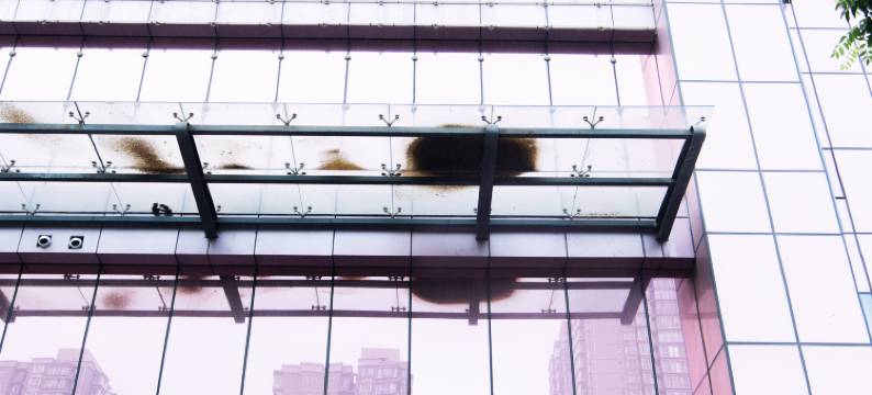 朱雀酒店(小寨地铁站赛格国际店)图片