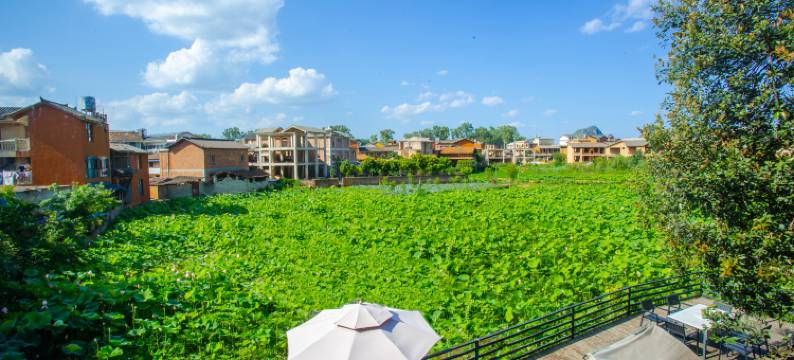 普者黑屿荷园客栈图片