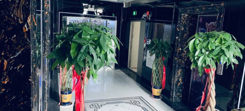 幽狐电竞酒店(新雕城市广场店)图片