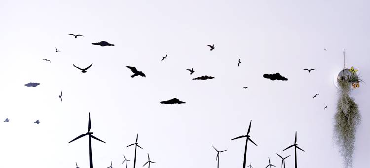 路上有你民宿图片