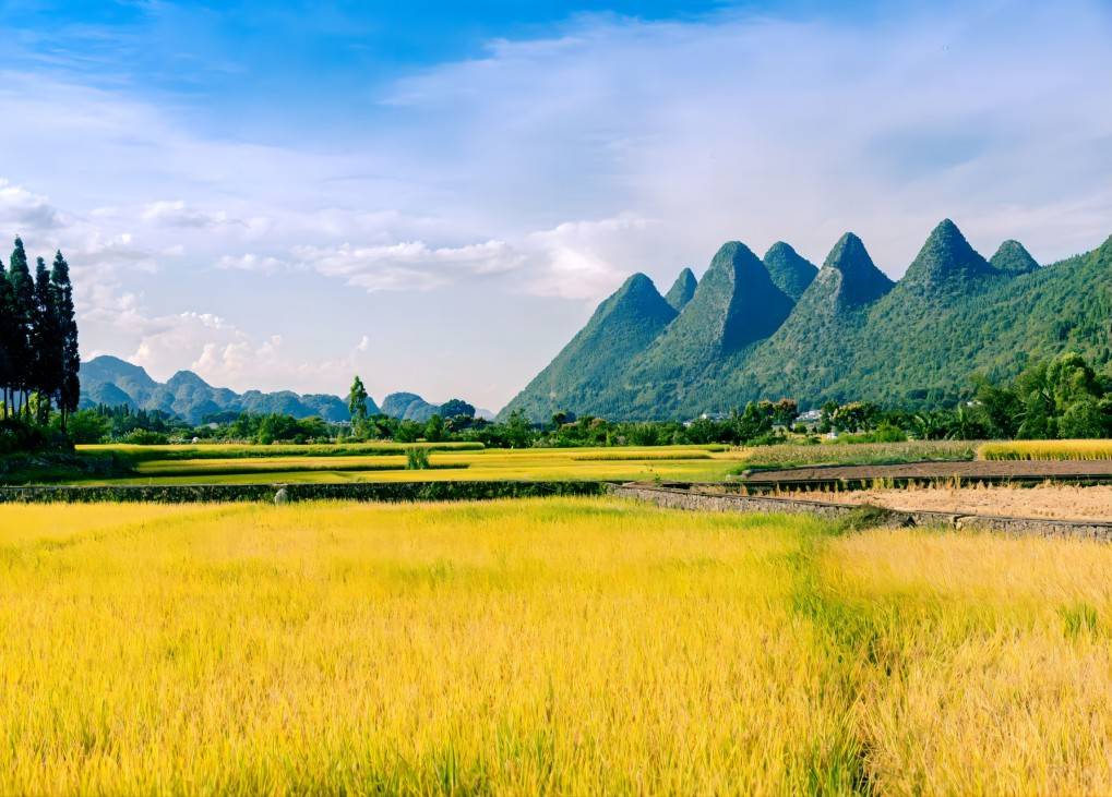 熹和·山房民宿(万峰林景区店)图片