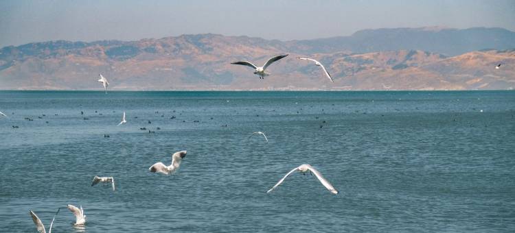 阿凯缇娅·安隐李氏大院海景度假酒店图片