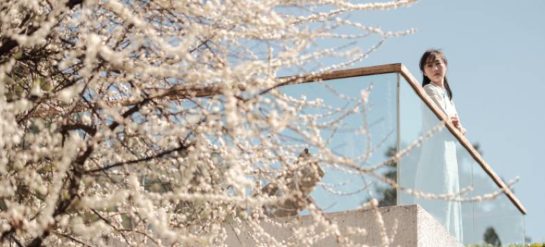 弥山溪云·雪山湖景pu'er茶香度假民宿图片
