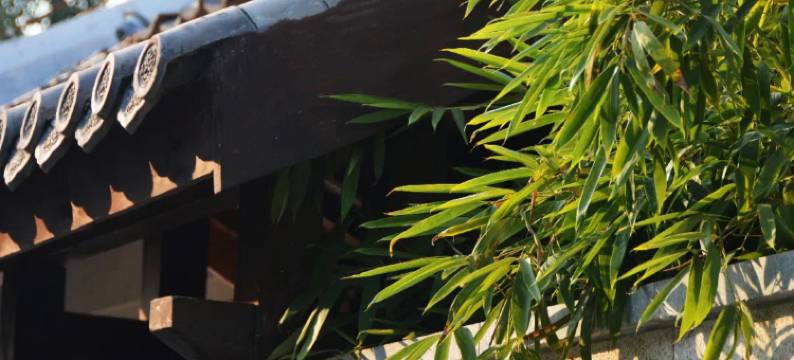 恋乡太行水镇·桃源民宿图片