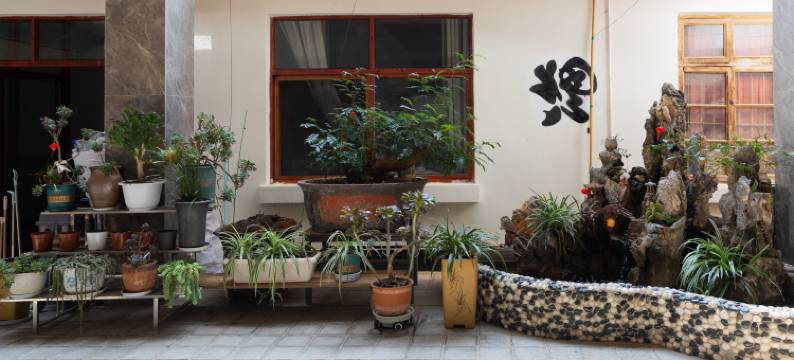 理屿·尚铭居丨Coisini 360°雪映日照·美学静谧花园(丽江站店)图片