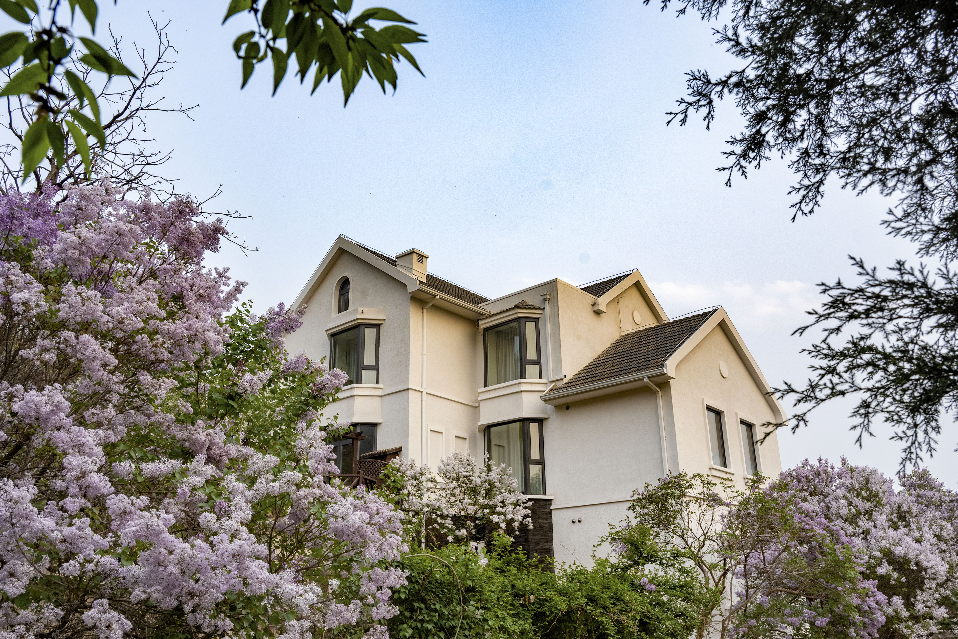 Beijing Placid Lake Resort Hotel Over view