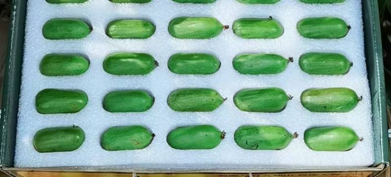 栗子•花开山居图片