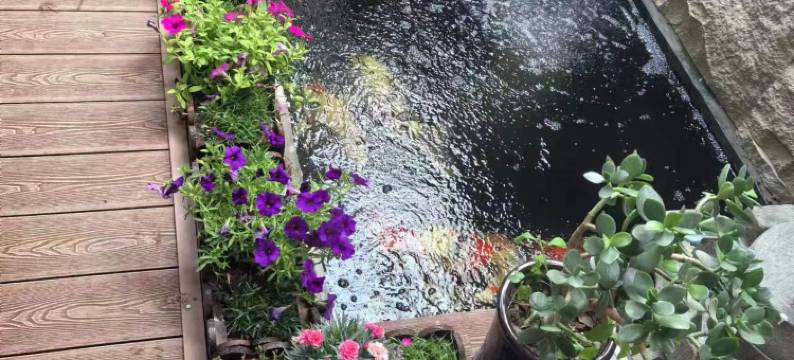 连云港华屿民宿(花果山景区店)图片