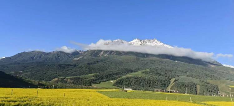 祁连圣峰观景山庄图片