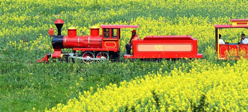 成都金堂花间苑·橘乐图片