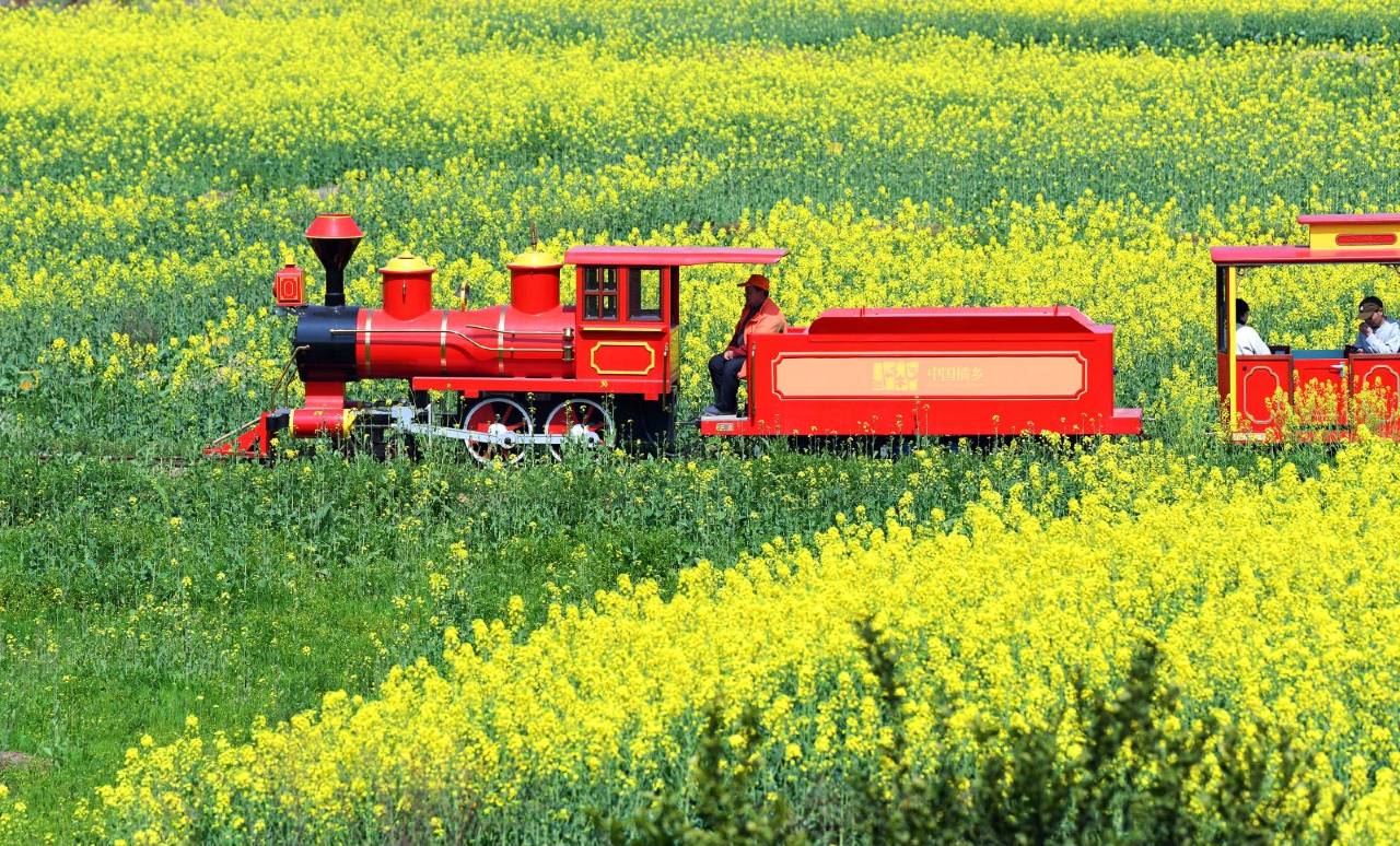 成都金堂花间苑·橘乐图片