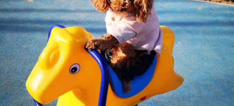 欢乐四季民宿(四季童话小镇店)图片