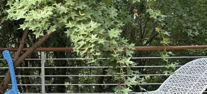 怡然云声山谷(云居滑雪场店)图片