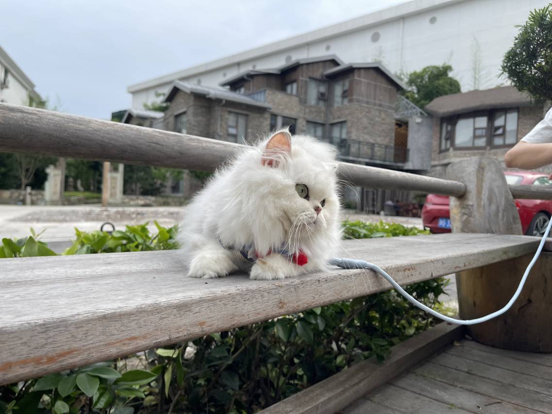 花筑奢·横店心邸民宿(影视城秦王宫梦幻谷店)图片