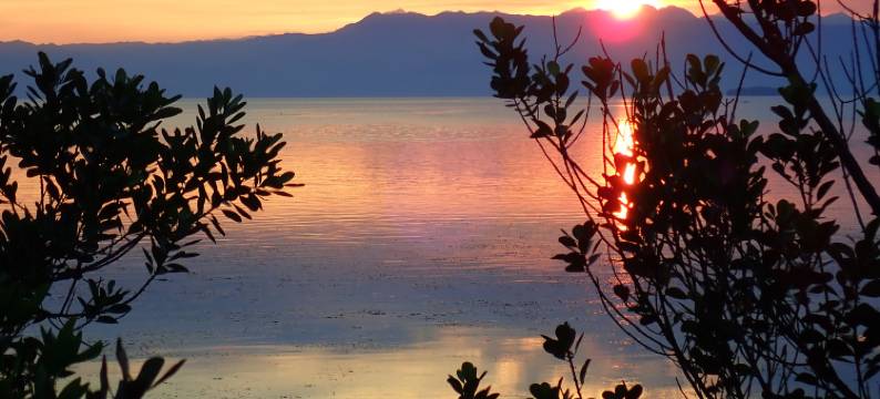 Eskapo Verde 旅馆 莫阿尔博阿尔(Eskapo Verde Lodge)图片