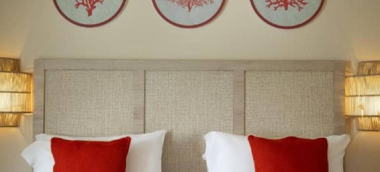 VOI le Muse Essentia图片