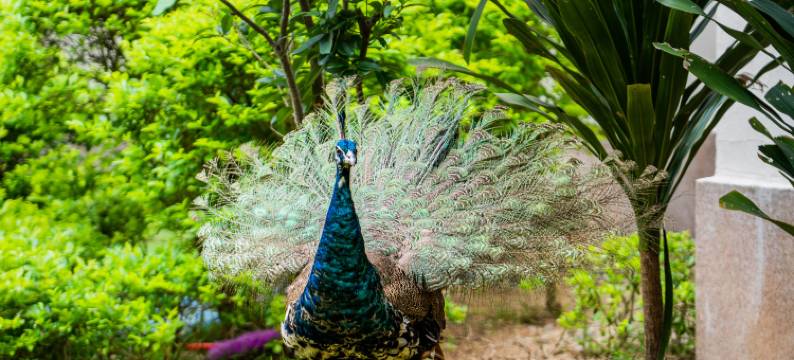 惠东金海湾嘉华度假酒店图片