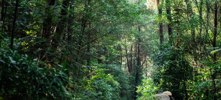 重庆美利亚酒店图片