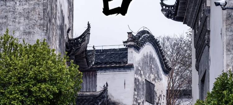 黄山徽州添诚民宿(唐模店)图片
