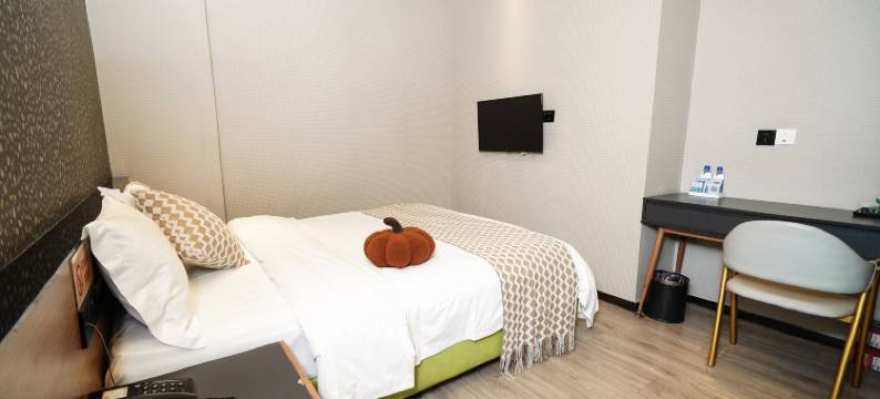 蓝莓酒店(深圳宝安国际机场福永地铁站)图片