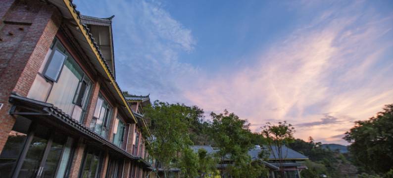 小凹子精品咖啡庄园图片