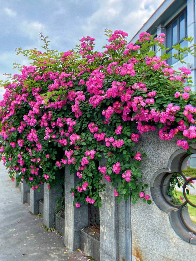 扬州瘦西湖二十四桥酒店图片