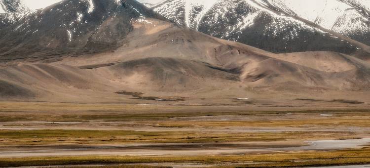 尚客优品酒店(班戈店)图片