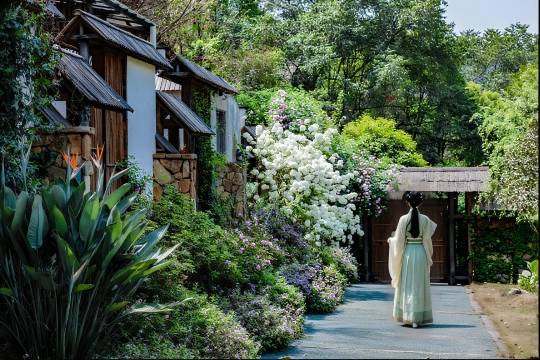 南麓·Forest度假酒店(重庆南山风景区店)图片