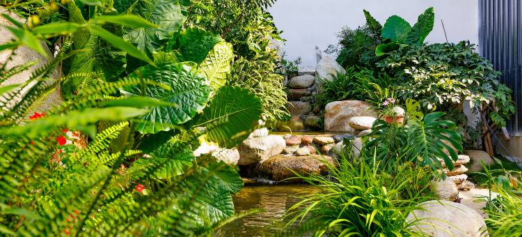 冕宁天问酒店图片