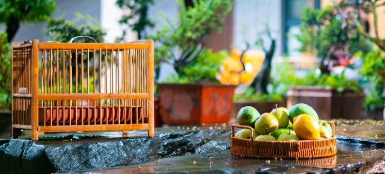 田园晓筑客栈(丽江三义机场店)图片