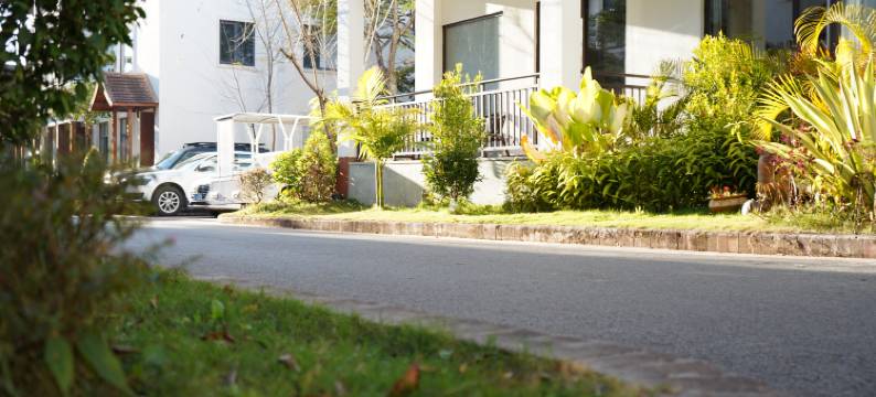 羲和勐巴拉度假民宿图片